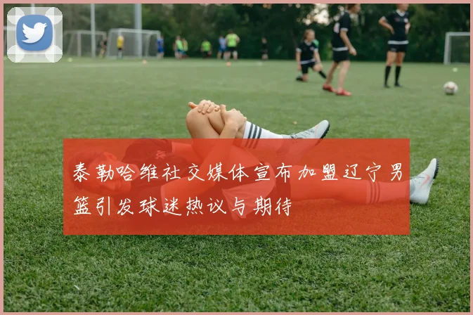 泰勒哈维社交媒体宣布加盟辽宁男篮引发球迷热议与期待