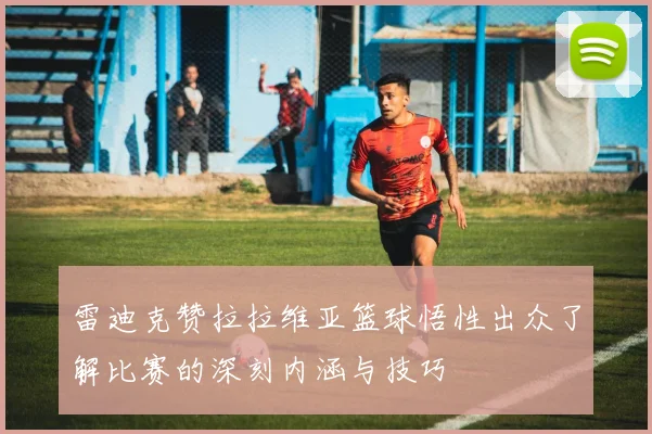 雷迪克赞拉拉维亚篮球悟性出众了解比赛的深刻内涵与技巧