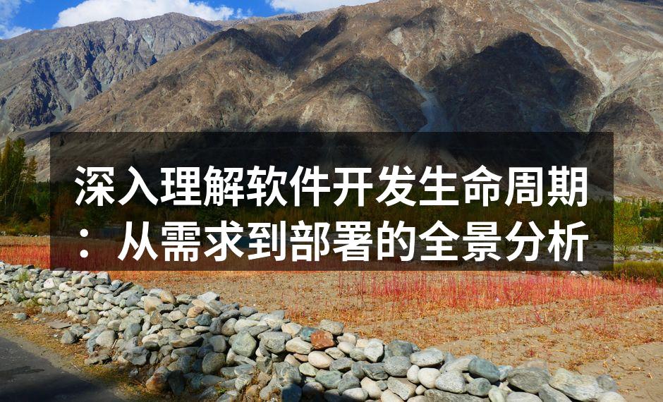 软件开发生命周期的各个阶段